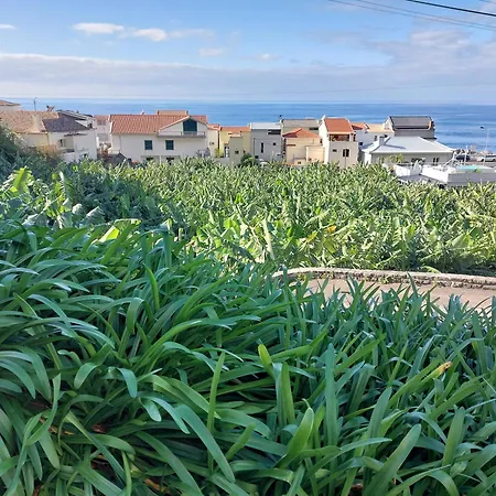 Casa Tropicana * Paul do Mar (Madeira)