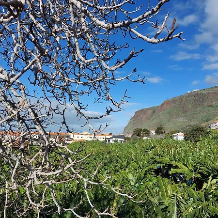 Casa Tropicana Апартаменты