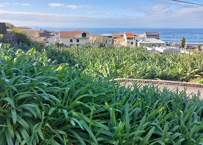 Casa Tropicana * Paul do Mar (Madeira)