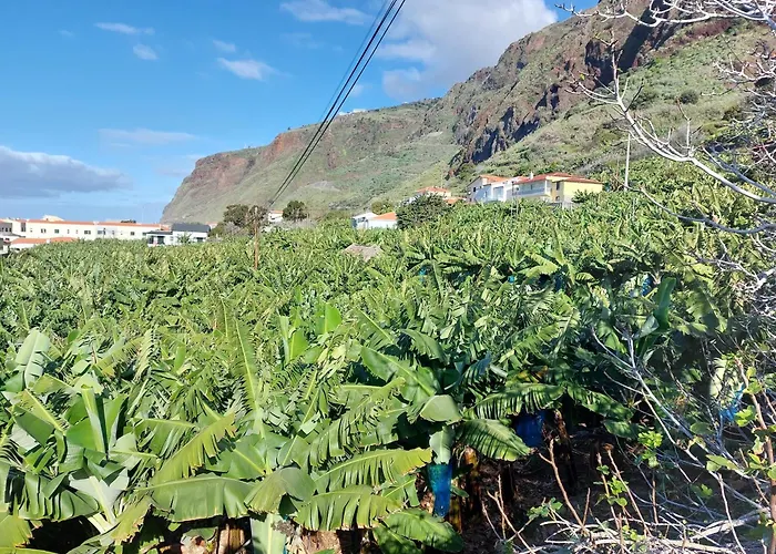 公寓 Casa Tropicana 滨海保尔