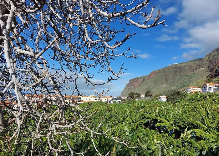 Casa Tropicana 公寓